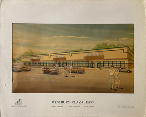 Architectural Rendering - Westbury Plaza East